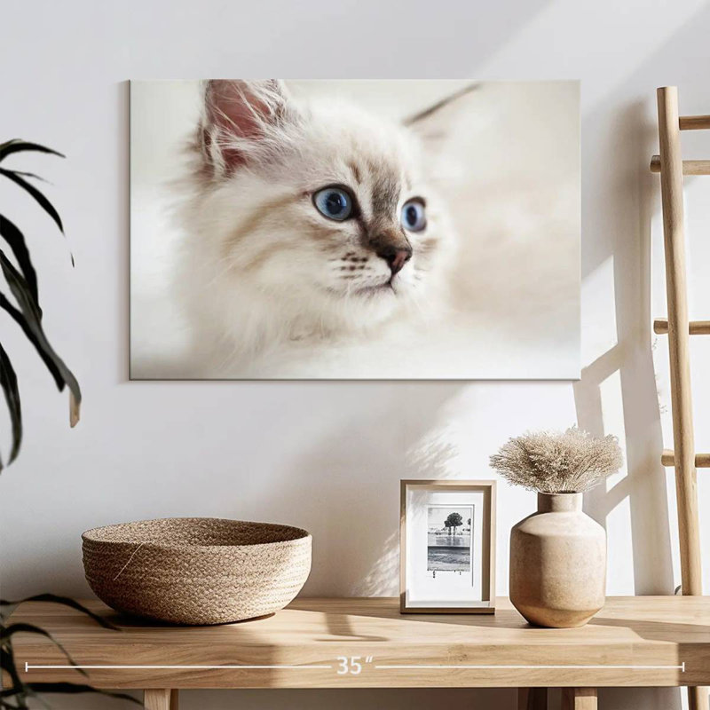 Brampt Neva Masquerade Cat, 16" H x 24" W