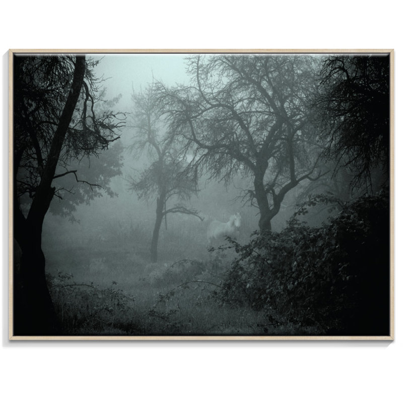 Print on Canvas, 41cm H x 51cm W, Timber Floater Frame