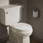 Stonewood Quiet-Close Compression-Molded Wood Toilet Seat-1987577914-1901214035