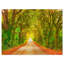 «Fall Greenery and Road Straight Ahead», impression-35061955-35061960