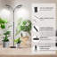 Naomi Grow Light