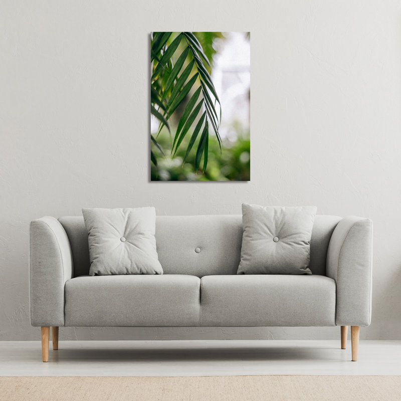 Closeup Of Green Palm Leaf by Andrew Lee - Wrapped Canvas Print, 91cm H x 61cm W x 4cm D