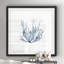 " Navy Seaweed IV "-1139981998-1139981467
