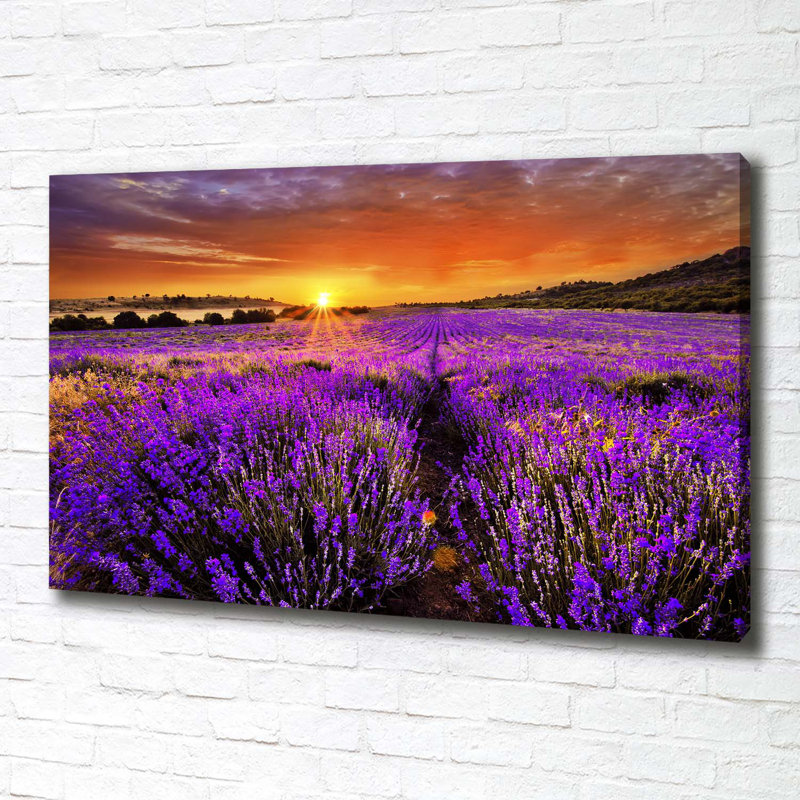Lavender Field - Wrapped Canvas Print