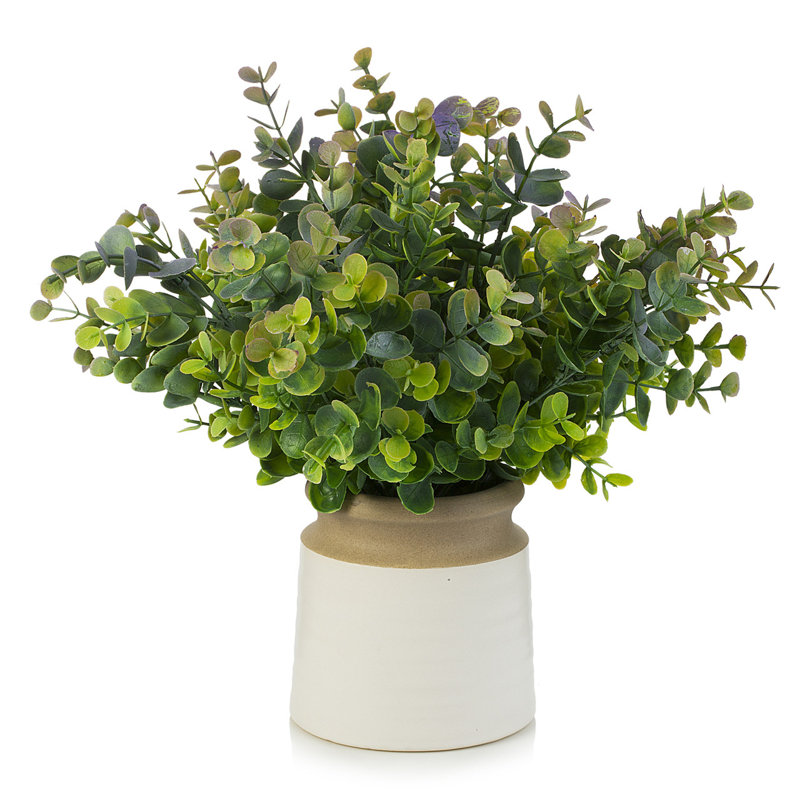 11'' Faux Eucalyptus Topiary in Ceramic Pot
