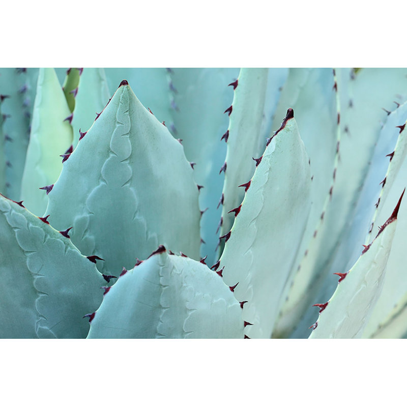 Wrapped Canvas Print, 41cm H x 61cm W x 3.81cm D