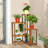 Isai Plant Stand