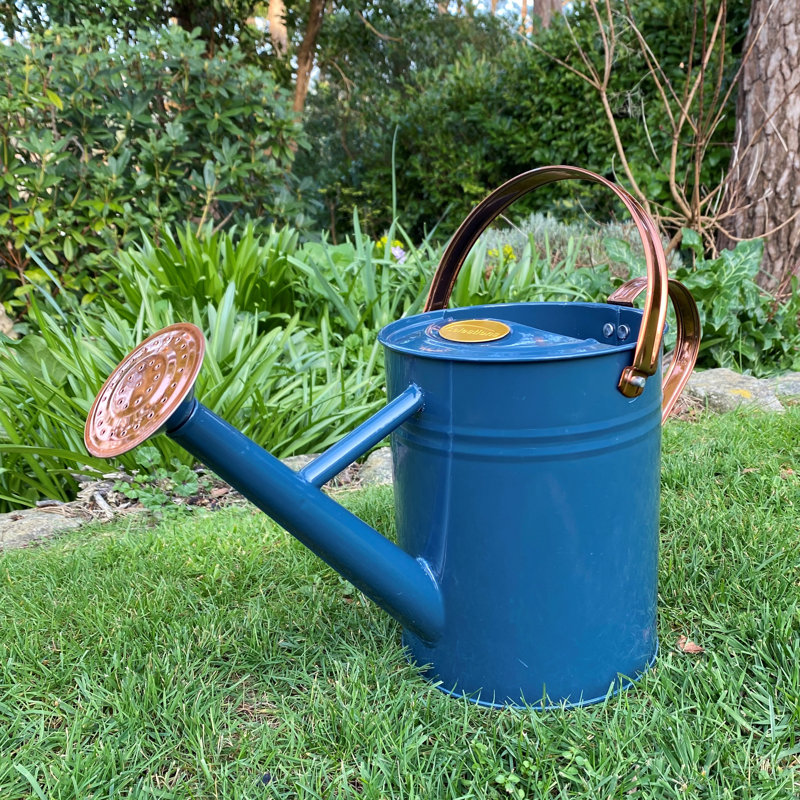 Metal Watering Can, Blue