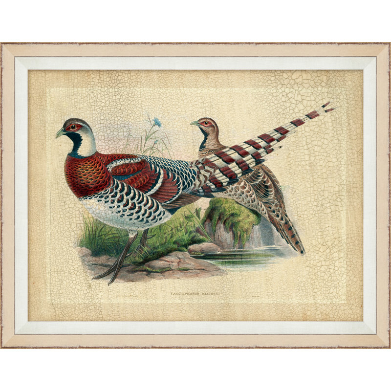 Pheasant Collection 5 - Cadre photo, impression sur papier