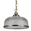 Asner 1 - Light Dome Pendant-1352552328