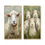 «Flock At Rest Sheep Portrait In The Grass I», art mural 2 panneaux-1707836241-1707836247
