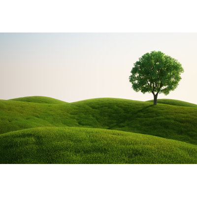 Grass Field - Wrapped Canvas Print
