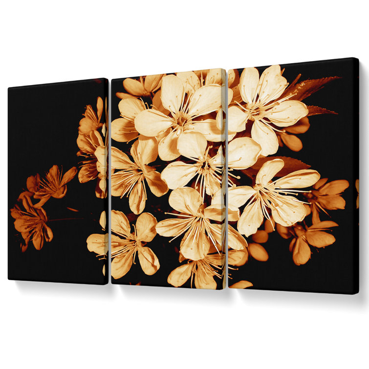 Ebern Designs Cocoa Flowers - 3 Piece Wrapped Canvas Print | Wayfair.co.uk