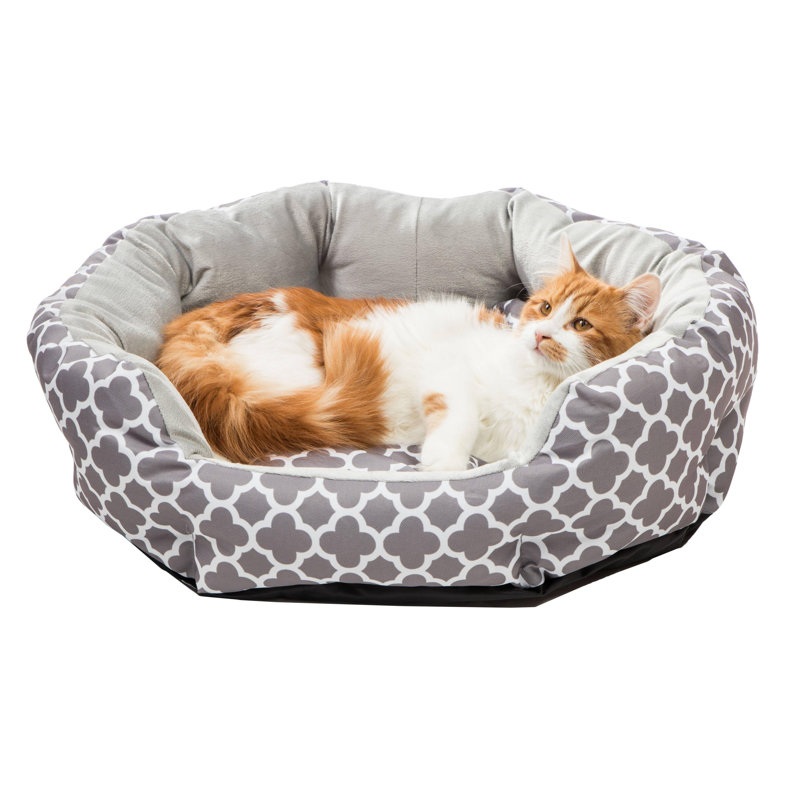 Beigne pour animaux Roni, gris