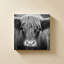 Nez de vache BW