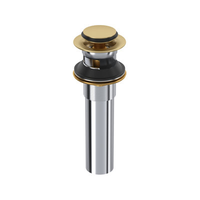 Push Drain with Overflow