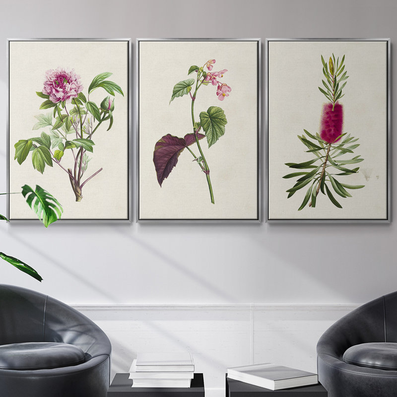 Jolies roses botaniques, ensemble de 3 pièces encadrées sur toile V, H 40 po x l 78 po, Argent