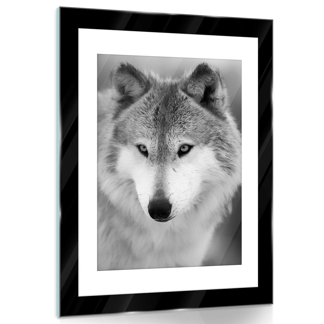 Glasbild Wolf