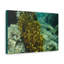 Wall Art on Canvas-1822194906