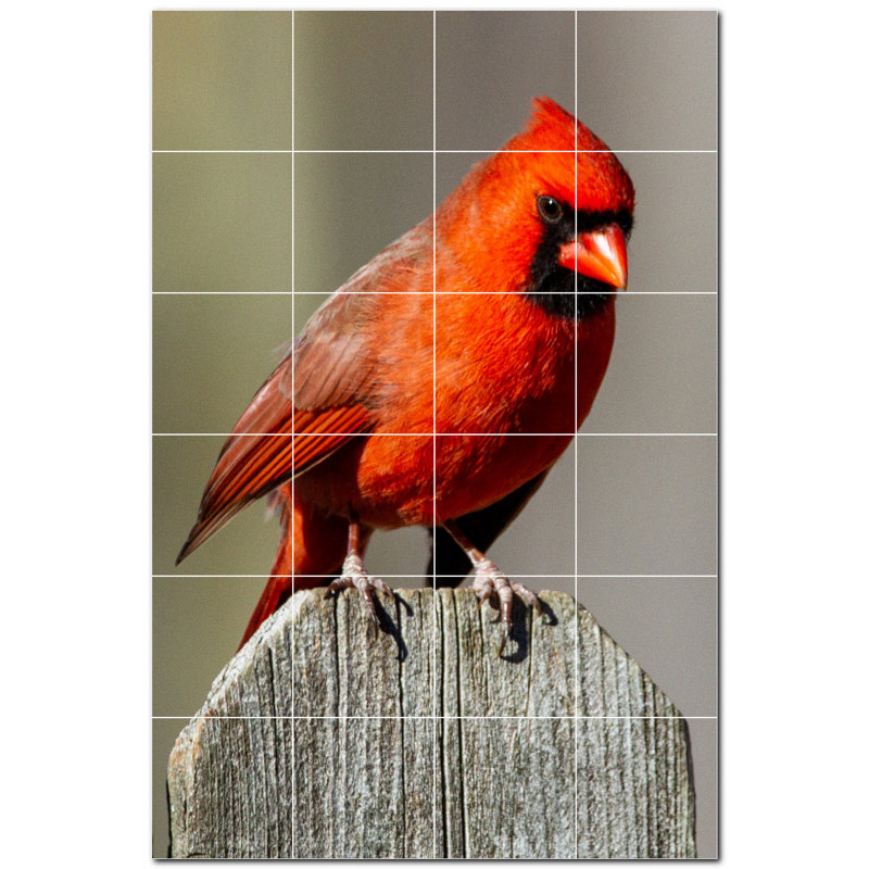 Murale en céramique satinée Bird Photo 8 po x 8 po