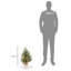 60cm H Lighted Artificial Pine Christmas Tree
