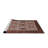 Oriental Indoor Rug-711191868