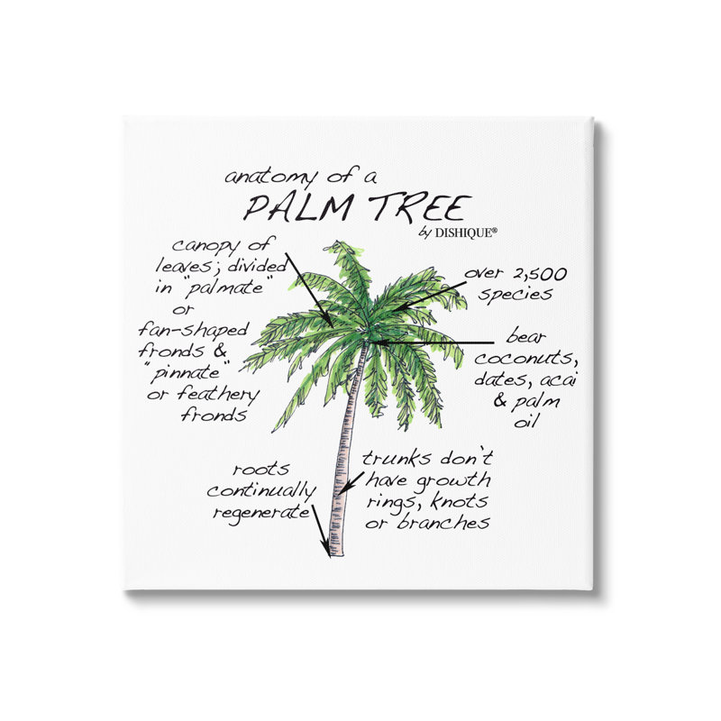 «Tropical Palm Tree», Flores, plantes, éducatif, H 17 po x l 17 po x P 1,5 po