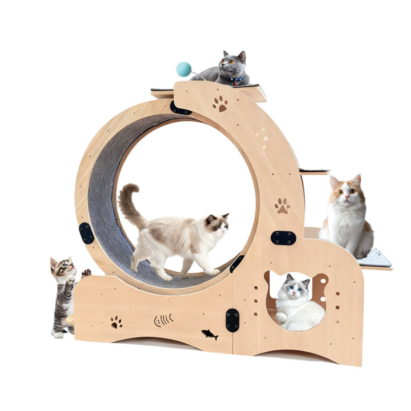 6-In-1 Cat Exercise Wheel With Silent Track – Large Indoor Cat Running & Walking Wheel With Built-In Toys