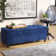 Orviston Tufted Top Upholstered Storage Bench
