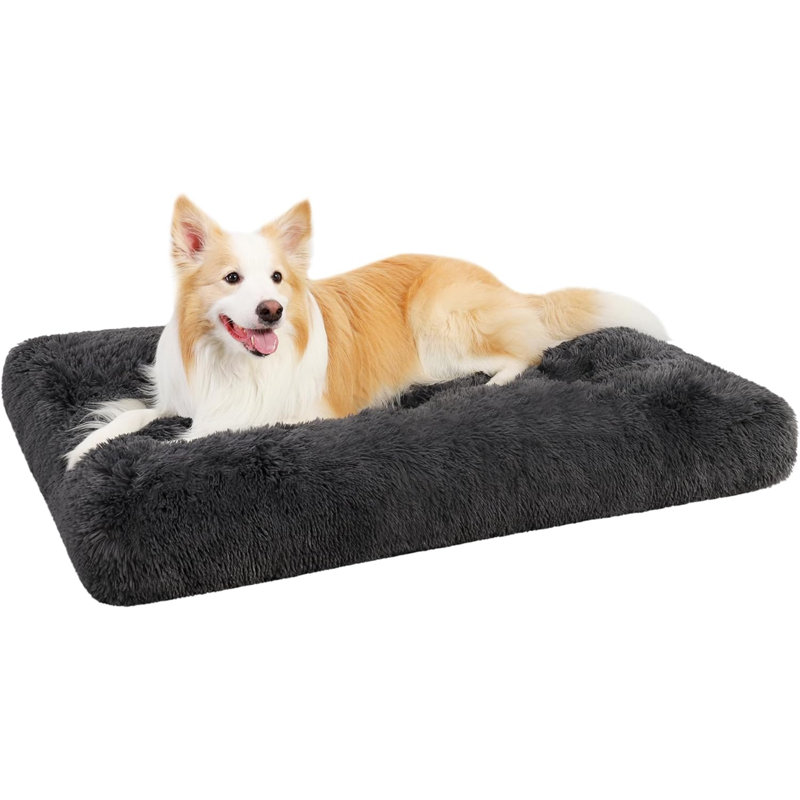 Lits pour chien Eibhlis, H 3,5 po x l 23 po x P 35 po, Gris foncé