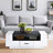 White and Black Coffee Table with Storage
