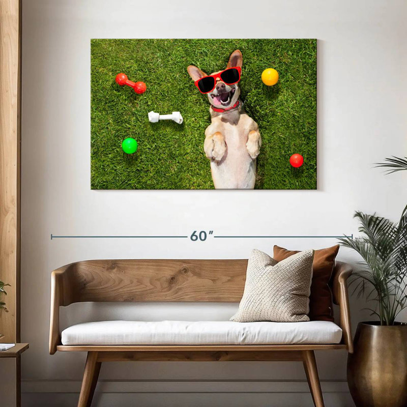 Ketti terrier chihuahua amusant, H 30 po x l 45 po