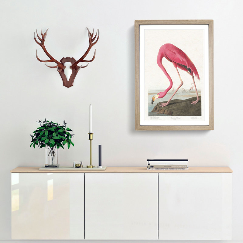 Pink Flamingo by John Audubon - Framed Print, Oak Framed, 36cm H x 27cm W x 2cm D