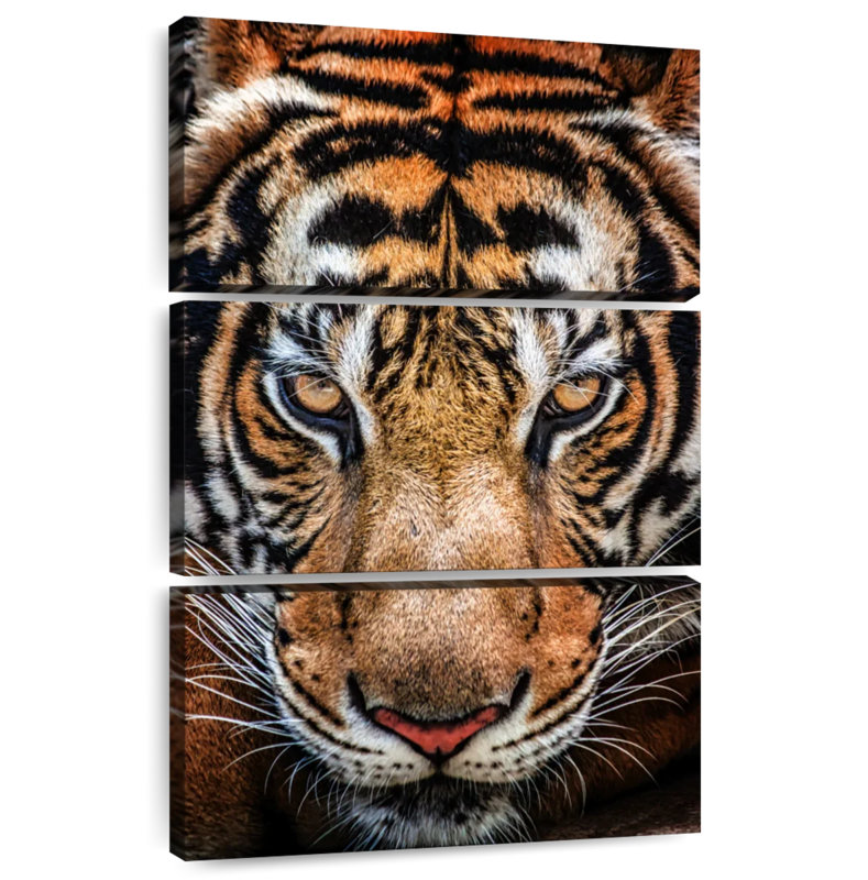 Brampt Siberian Tiger, 57" H x 36" W