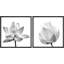 Film grain agrandie de lotus encadré sur toile, 2 pièces-88315330-88315332