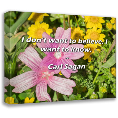 Carl Sagan Quote: I don't want to believe. I want to know.