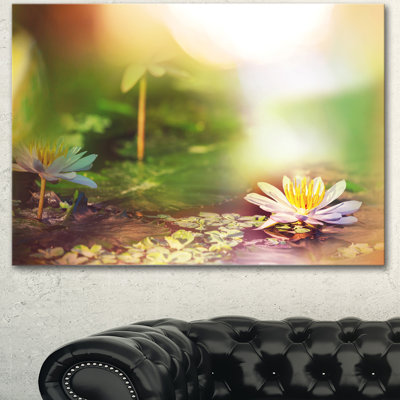 Lotus Flowers On Green Background - Wrapped Canvas Photograph