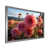 Silver Single Picture Framed selected