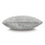 Oberon Pillow Cover & Insert-1818784333