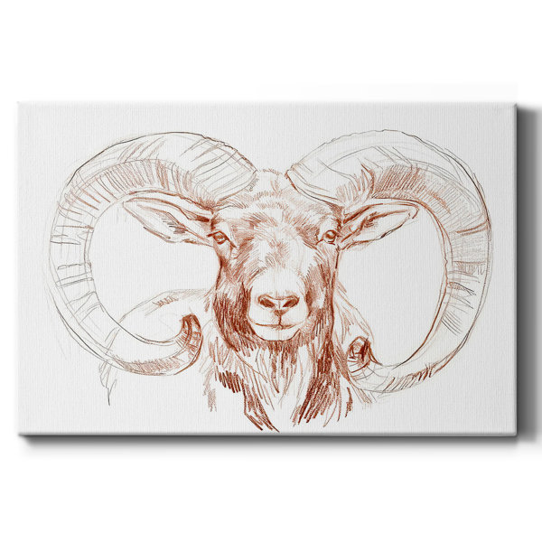 Union Rustic Big Horn Sheep I On Canvas Print | Wayfair