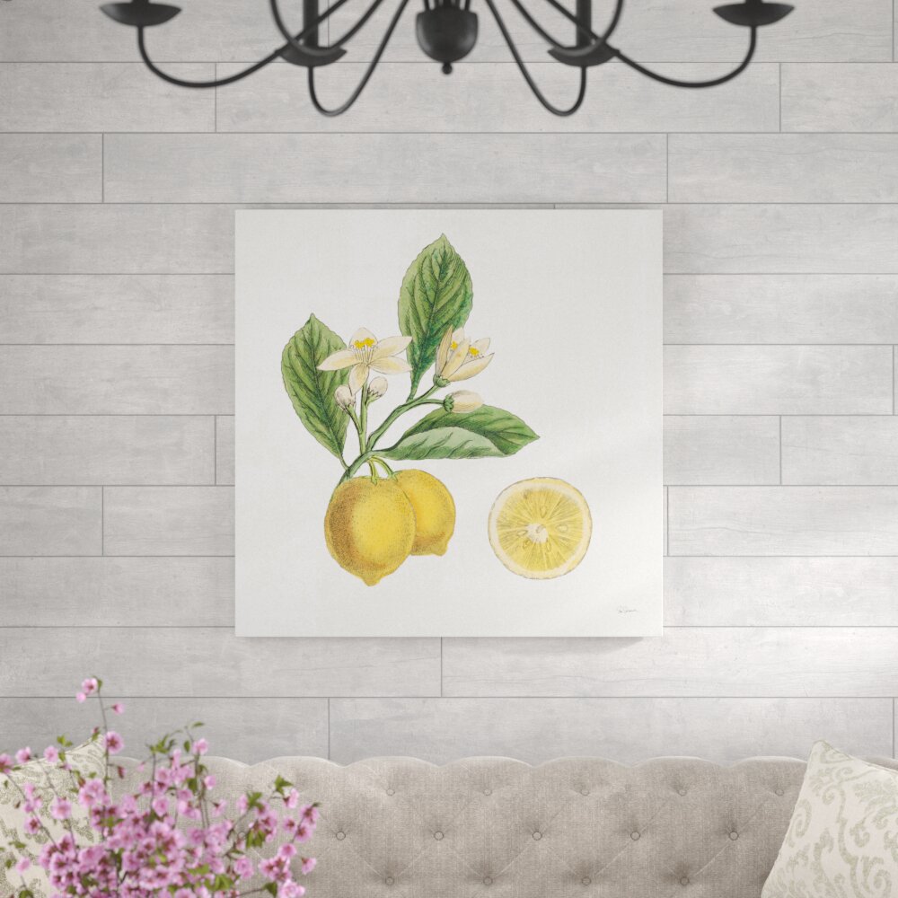 Leinwandbild Classic Citrus I von Sue Schlabach