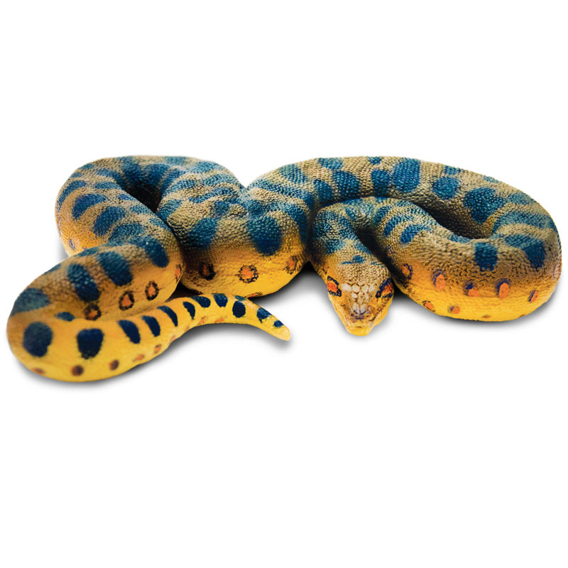 Vert Anaconda