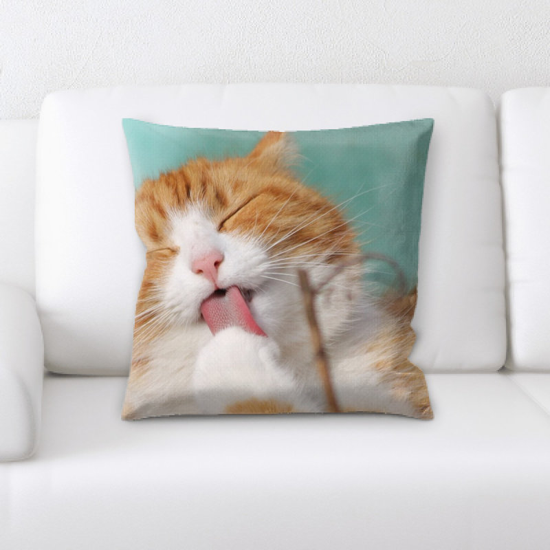 Coussin pour chat