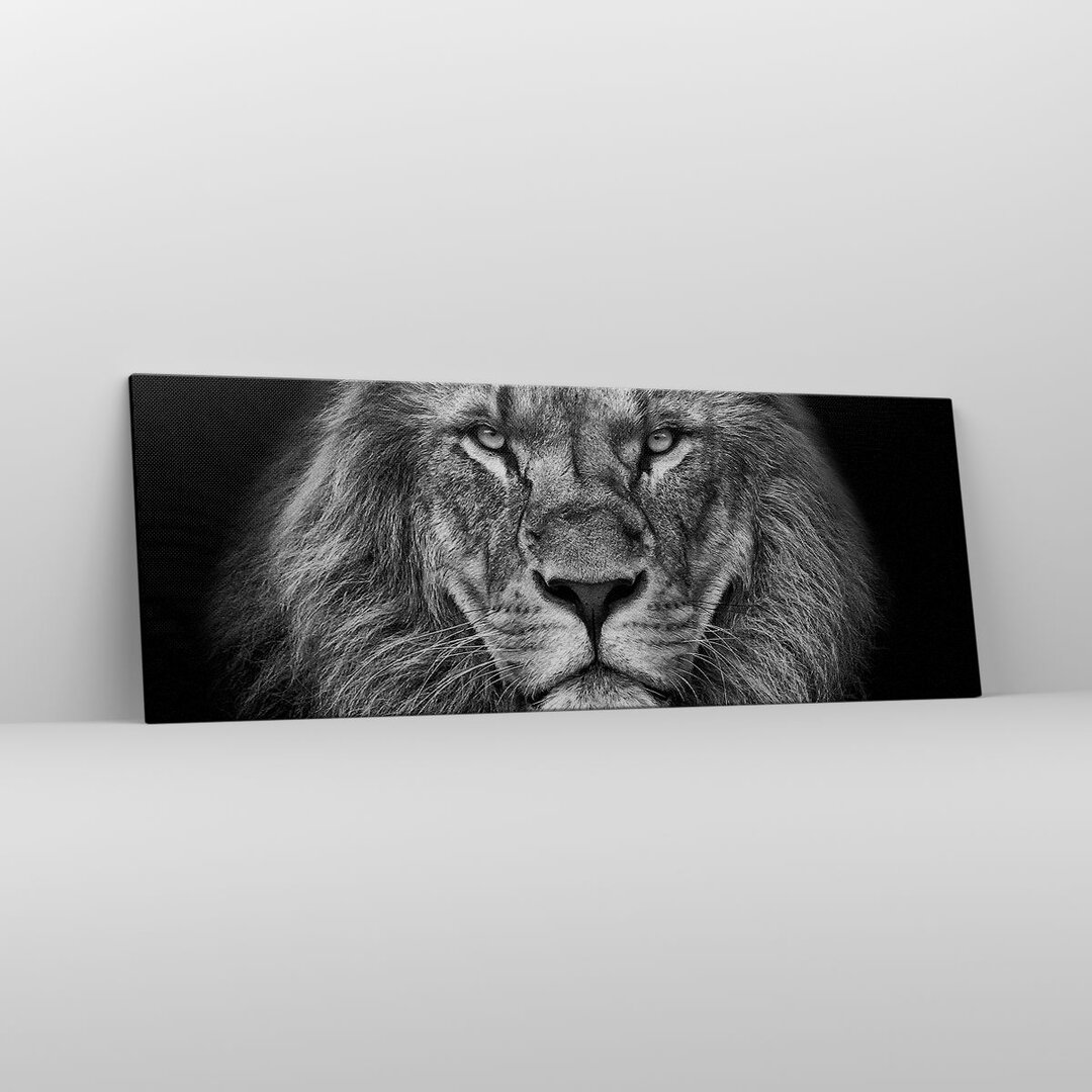 Leinwandbild Portrait Lion Black and White