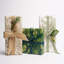 Covey Hedge Wrapping Paper