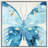 Blue Butterfly-102480446-102480444