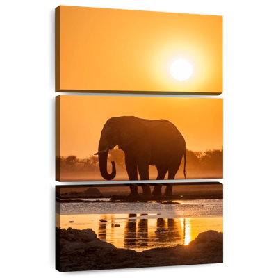 Brampt African Elephant At Sunset