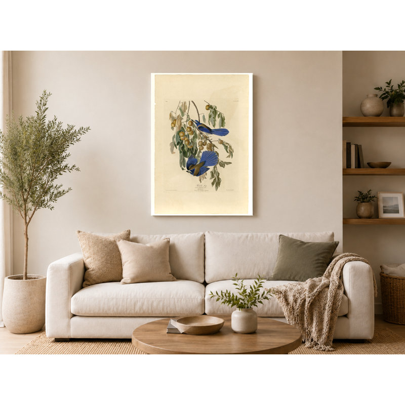 Florida Jay, Plate 87 (1827-1838) - Art mural sur toile Portrait, 18" W x 12" H