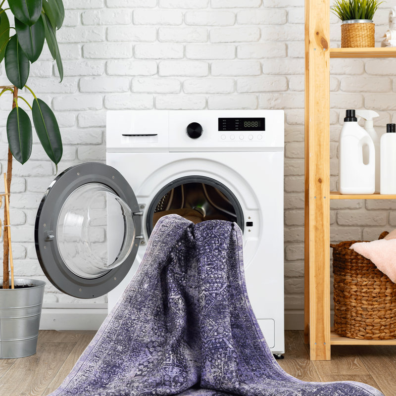 3X5 Area Rug, Washable, Non-Slip, Non-Shedding, Low-Pile, Foldable, For Home - Chic Design Washable Rugs Living Room, Bedroom, Kitchen, Dining Room Soft Material