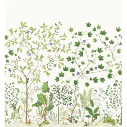 Sanderson
Botanical Green Sycamore and Oak Wallpaper